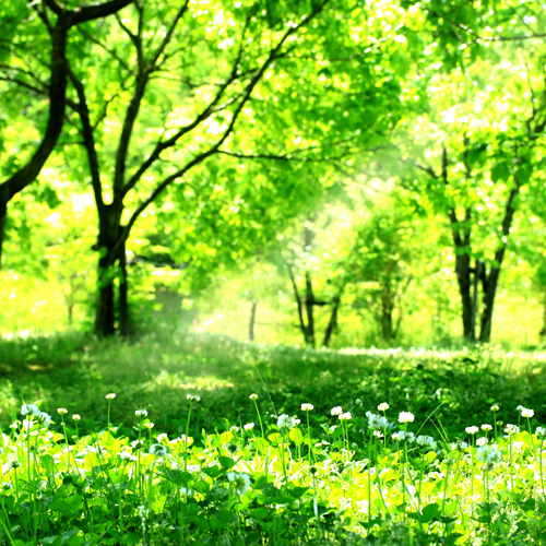 JN環境サービス